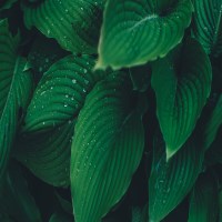 Lê Hữu Khang avatar