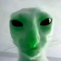 thao avatar