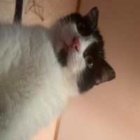 hu121212 avatar