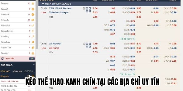 Cá Cược Thể Thao Trực Tuyến - Địa Chỉ Đặt Cược Uy Tín 2025