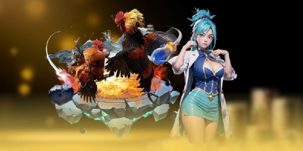 Đá Gà Thomo 67 – Đá Gà Trực Tiếp Theo Dõi Chiến Kê Gay Cấn