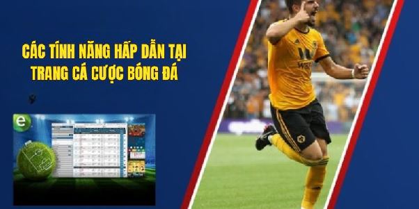 Trang cá độ bóng đá 7777 Org chuyên cập nhật tỷ lệ kèo uy tín