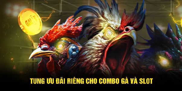 Combo cược đá gà và quay nổ hũ – Tăng gấp đôi cơ hội giàu nhanh Combo cược đá gà và quay nổ hũ – Tăng gấp đôi cơ hội giàu nhanh