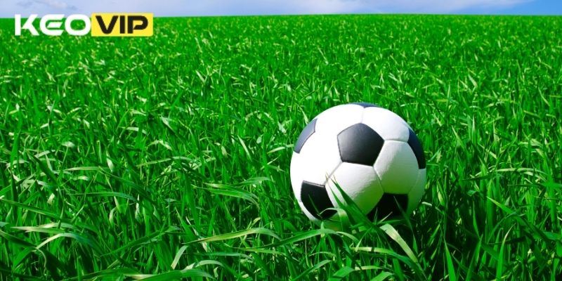 Nhận Định Bóng Đá Chuẩn – Chiến Lược Cá Cược Hiệu Quả