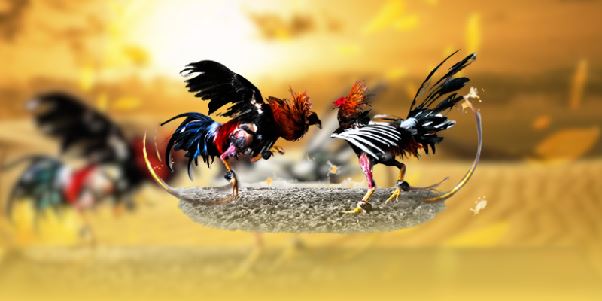 Chiến lược cược chấp hiệu quả khi tham gia tại ALO789 Chiến lược cược chấp hiệu quả khi tham gia tại ALO789