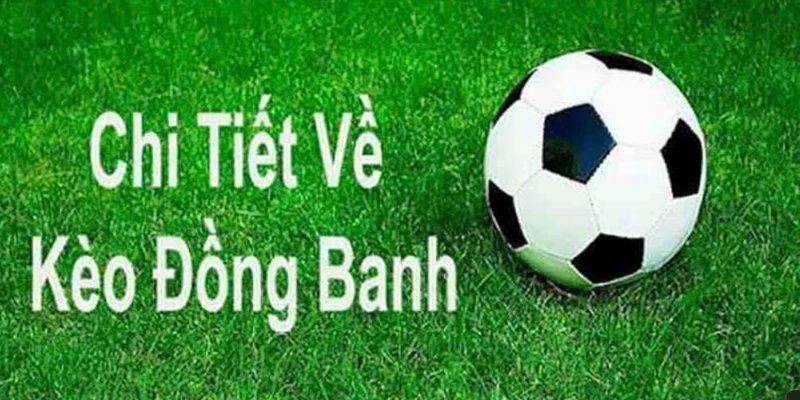 Sức Hút Khó Cưỡng Của Nowgoal Bóng Đá Trong Năm 2025 Sức Hút Khó Cưỡng Của Nowgoal Bóng Đá Trong Năm 2025