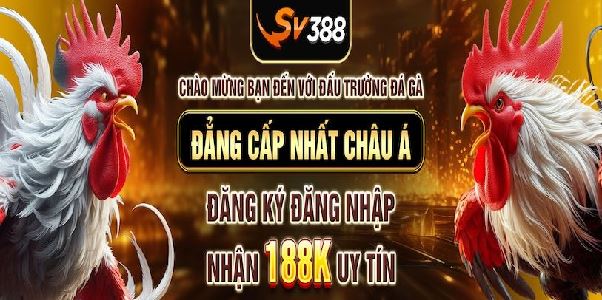 SV388 – Đấu trường đá gà trực tuyến uy tín hàng đầu châu Á SV388 – Đấu trường đá gà trực tuyến uy tín hàng đầu châu Á
