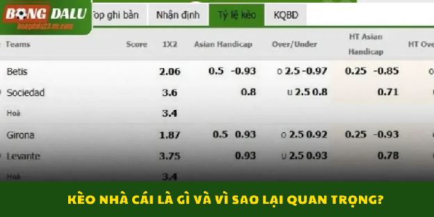 Kèo Nhà Cái – Hiểu Đúng Tỷ Lệ Kèo Bóng Đá Và Cách Theo Dõi Hiệu Quả Kèo Nhà Cái – Hiểu Đúng Tỷ Lệ Kèo Bóng Đá Và Cách Theo Dõi Hiệu Quả