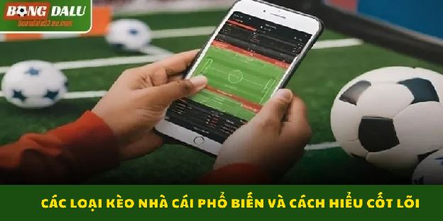 Kèo Nhà Cái – Hiểu Đúng Tỷ Lệ Kèo Bóng Đá Và Cách Theo Dõi Hiệu Quả Kèo Nhà Cái – Hiểu Đúng Tỷ Lệ Kèo Bóng Đá Và Cách Theo Dõi Hiệu Quả