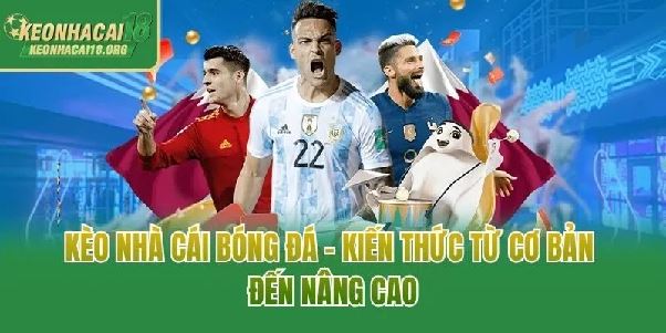 Phân Tích Kèo Nhà Cái 18: Những Điều Cần Biết