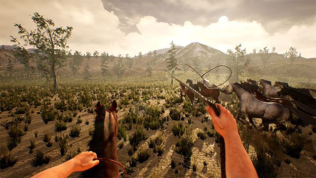 Cowboy Life Simulator Cowboy Life Simulator