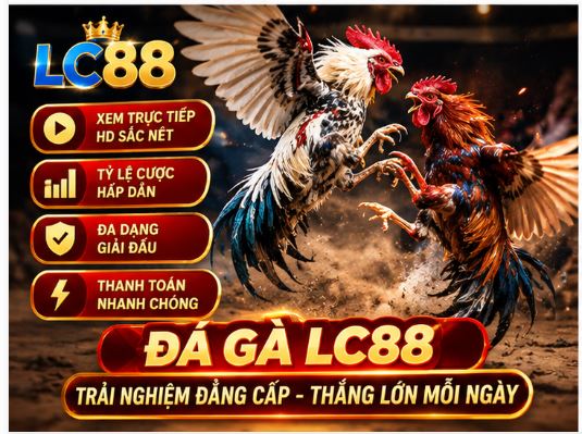 Đá gà LC88 và cách theo dõi nhịp trận dành cho người mới Đá gà LC88 và cách theo dõi nhịp trận dành cho người mới
