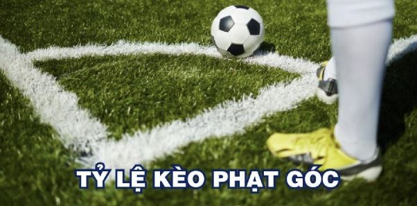 Cách phân tích tỷ lệ cược phạt góc hiệu quả nhất năm 2026 Cách phân tích tỷ lệ cược phạt góc hiệu quả nhất năm 2026