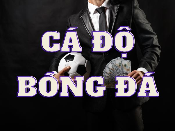 Bí Quyết Chọn Trang Cá Độ Bóng Đá Uy Tín Cho Người Mới Bắt Đầu Bí Quyết Chọn Trang Cá Độ Bóng Đá Uy Tín Cho Người Mới Bắt Đầu