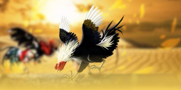 Chiến lược cược chấp hiệu quả khi tham gia tại ALO789 Chiến lược cược chấp hiệu quả khi tham gia tại ALO789