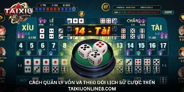 Vì sao taixiuonline8.com là lựa chọn chơi tài xỉu trực tuyến