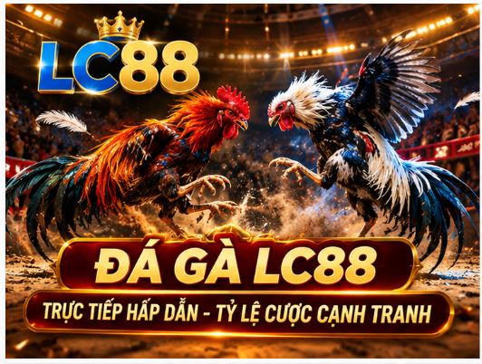 Đá gà LC88 và cách theo dõi nhịp trận dành cho người mới Đá gà LC88 và cách theo dõi nhịp trận dành cho người mới