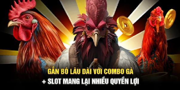 Combo cược đá gà và quay nổ hũ – Tăng gấp đôi cơ hội giàu nhanh Combo cược đá gà và quay nổ hũ – Tăng gấp đôi cơ hội giàu nhanh