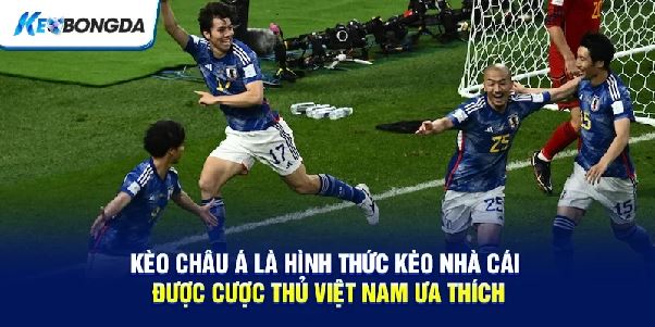 Kèo Bóng Đá Hôm Nay – Cách Đọc Tỷ Lệ Và Phân Tích Trận Đấu Hiệu Quả