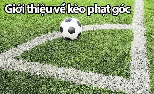 Tìm hiểu kèo phạt góc tại Kèo Nhà Cái 55 – góc nhìn phân tích chỉ số phạt góc đầy đủ và trực quan Tìm hiểu kèo phạt góc tại Kèo Nhà Cái 55 – góc nhìn phân tích chỉ số phạt góc đầy đủ và trực quan