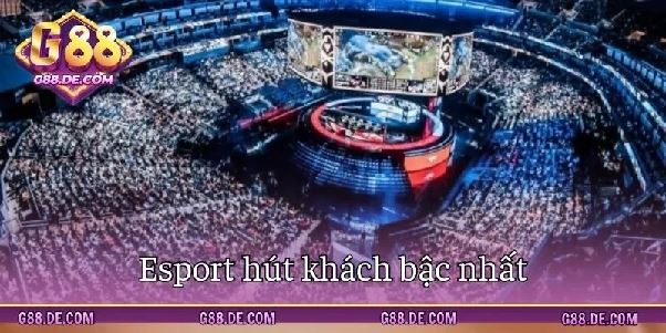 Thể thao G88 – Khám phá hệ thống kèo đa dạng cùng nhiều bộ môn thi đấu hấp dẫn