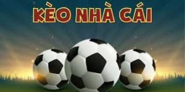 Tỷ Lệ Kèo – Kiến Thức Cơ Bản Và Kinh Nghiệm Dành Cho Người Mới