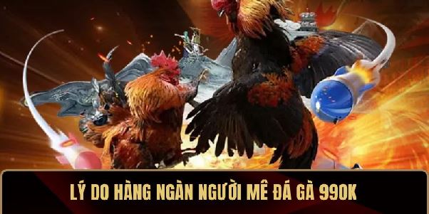 Đá Gà 99OK – Cuồng Nhiệt Cá Cược, Rực Lửa Đấu Trường Đá Gà 99OK – Cuồng Nhiệt Cá Cược, Rực Lửa Đấu Trường