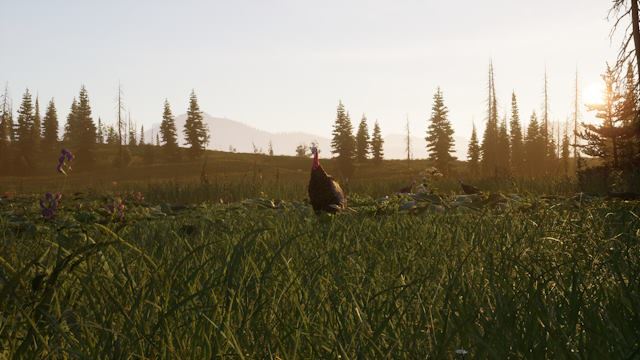 Way of the Hunter 2