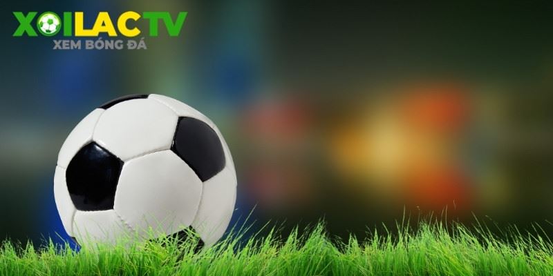 Xôi Lạc Lịch Thi Đấu: Nơi Hội Tụ Đầy Đủ Trận Bóng Trong Ngày Xôi Lạc Lịch Thi Đấu: Nơi Hội Tụ Đầy Đủ Trận Bóng Trong Ngày