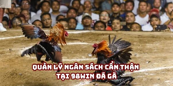 98win Đá Gà: Tìm Hiểu Cách Tham Gia Và Chiến Thắng