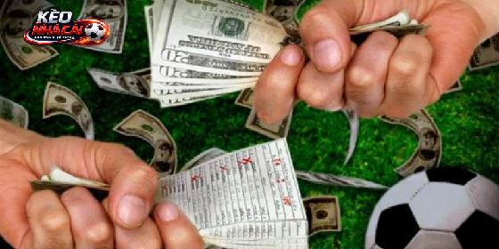 Kèo Nhà Cái 55 – Điểm Tra Cứu Bóng Đá Đáng Chú Ý Hiện Nay