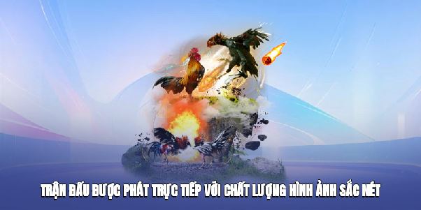 Đá Gà Online – Đấu Trường Kê Thủ Hấp Dẫn Năm 2025๖ۣۜ╰²ᵏ³ꁅᏁ๖ۣۜ╰²ᵏ³ꁅ Đá Gà Online – Đấu Trường Kê Thủ Hấp Dẫn Năm 2025๖ۣۜ╰²ᵏ³ꁅᏁ๖ۣۜ╰²ᵏ³ꁅ