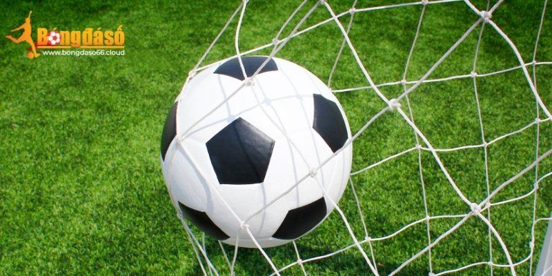 Bongdaso66 - Công Cụ Đọc Kèo Bóng Đá Cho Cược Thủ 2026 Bongdaso66 - Công Cụ Đọc Kèo Bóng Đá Cho Cược Thủ 2026