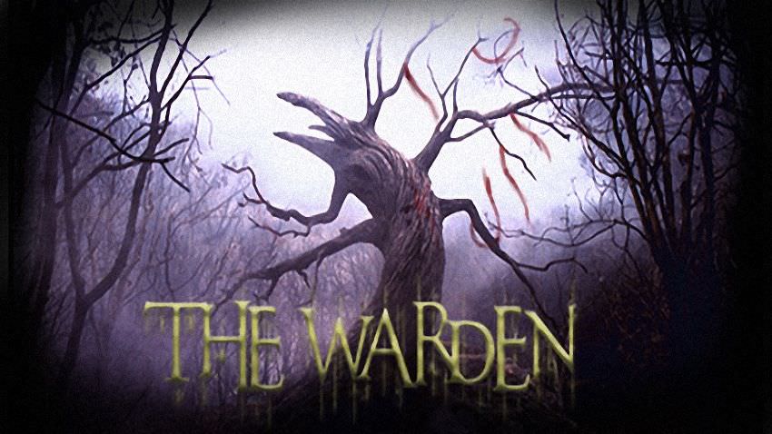 The Warden cover