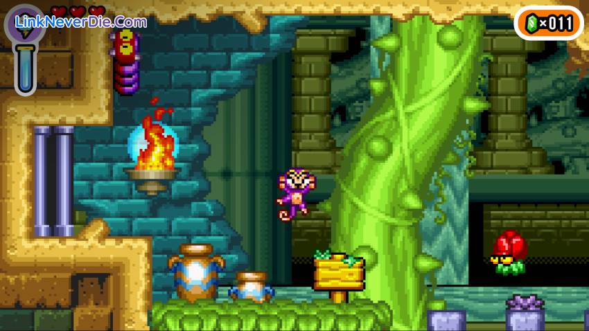 Hình ảnh trong game Shantae Advance: Risky Revolution (screenshot) Hình ảnh trong game Shantae Advance: Risky Revolution (screenshot)