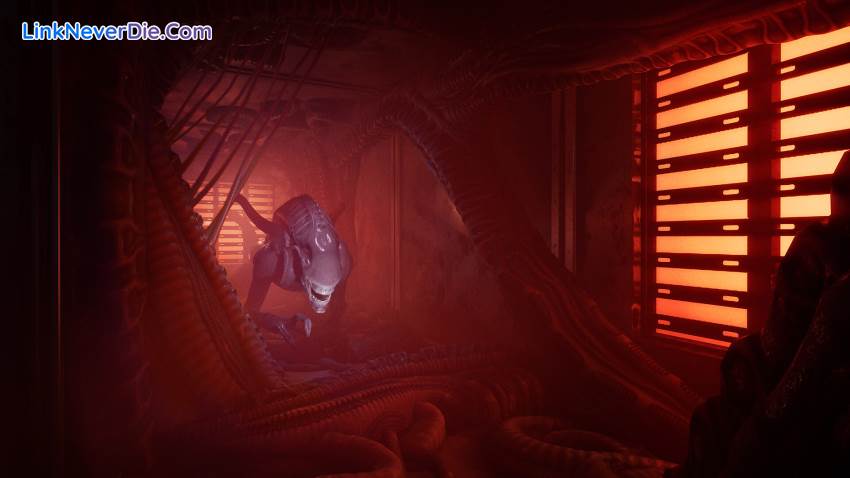Hình ảnh trong game Alien: Rogue Incursion Evolved Edition (screenshot) Hình ảnh trong game Alien: Rogue Incursion Evolved Edition (screenshot)