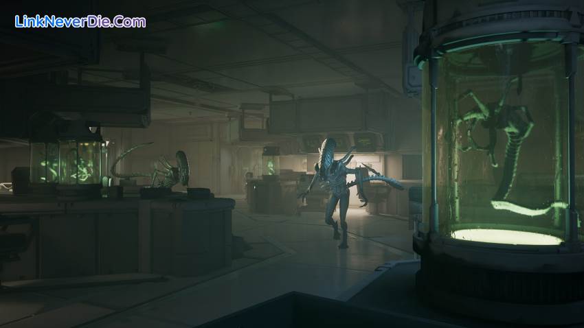 Hình ảnh trong game Alien: Rogue Incursion Evolved Edition (screenshot) Hình ảnh trong game Alien: Rogue Incursion Evolved Edition (screenshot)