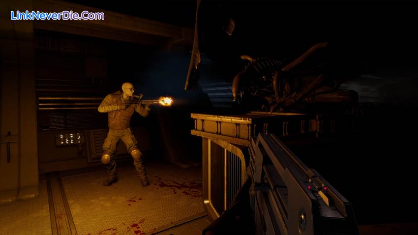 Hình ảnh trong game Alien: Rogue Incursion Evolved Edition (screenshot) Hình ảnh trong game Alien: Rogue Incursion Evolved Edition (screenshot)