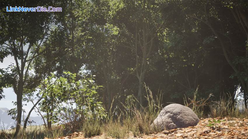 Hình ảnh trong game Stone Simulator – Just Be a Rock (screenshot)