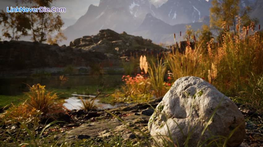 Hình ảnh trong game Stone Simulator – Just Be a Rock (screenshot)