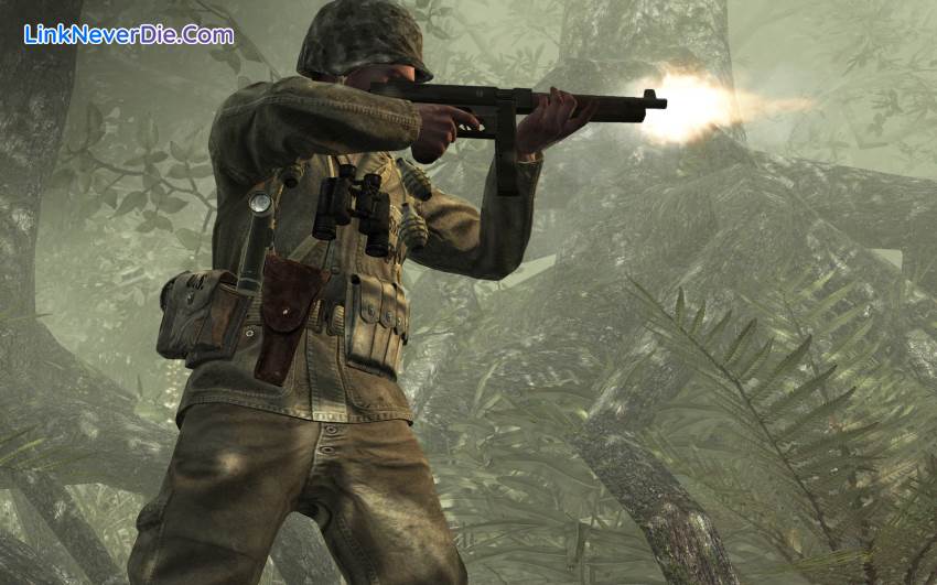 Hình ảnh trong game Call of Duty: World at War (screenshot)