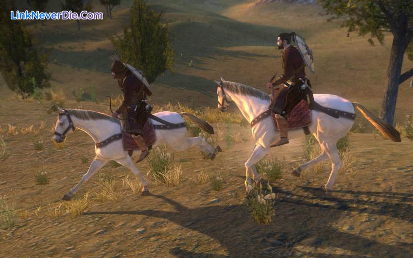 Hình ảnh trong game Mount & Blade: Warband (screenshot)