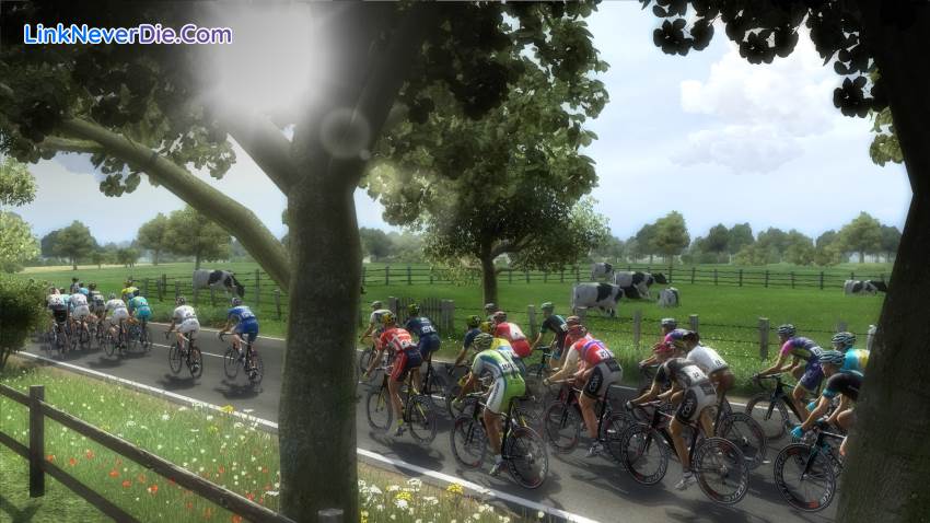 Hình ảnh trong game Pro Cycling Manager 2014 (screenshot) Hình ảnh trong game Pro Cycling Manager 2014 (screenshot)