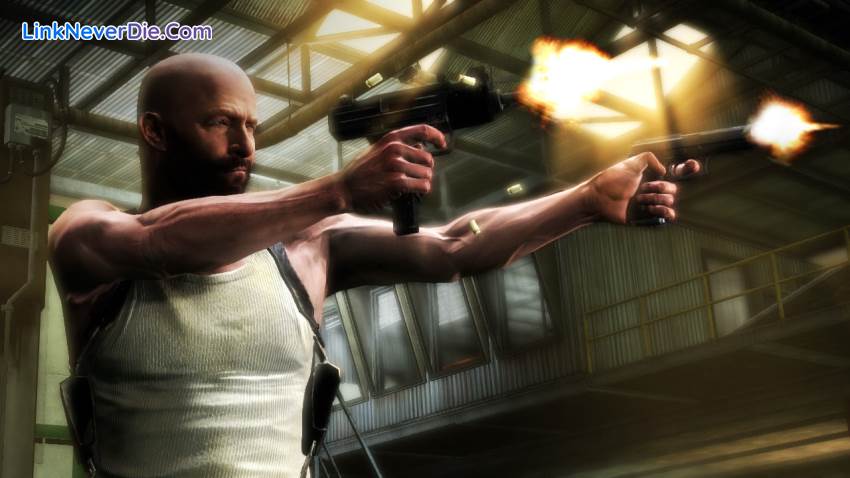 Hình ảnh trong game Max Payne 3 (screenshot)