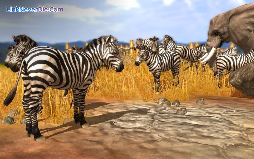 Hình ảnh trong game Wildlife Park Collection (screenshot)