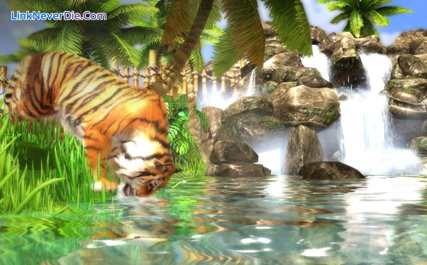 Hình ảnh trong game Wildlife Park Collection (screenshot)