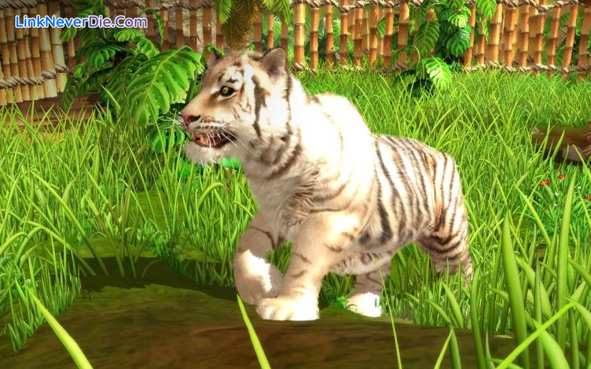 Hình ảnh trong game Wildlife Park Collection (screenshot)