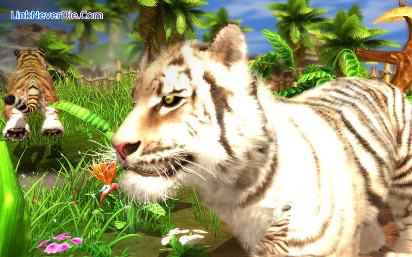 Hình ảnh trong game Wildlife Park Collection (screenshot)