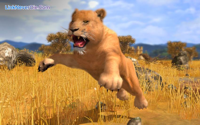 Hình ảnh trong game Wildlife Park Collection (screenshot)