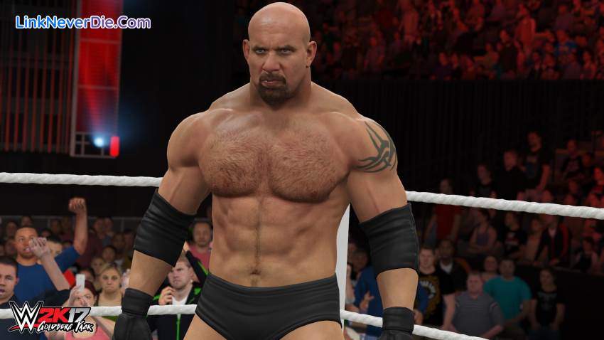 Hình ảnh trong game WWE 2K17 (screenshot)